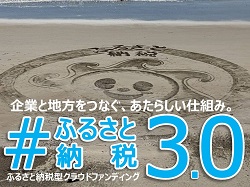 南知多町ふるさと納税特設サイト（外部リンク・新しいウインドウで開きます）