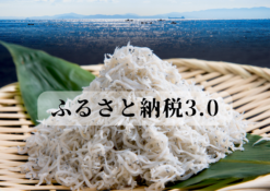 南知多町ふるさと納税特設サイト（外部リンク・新しいウインドウで開きます）