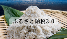 南知多町ふるさと納税特設サイト（外部リンク・新しいウインドウで開きます）