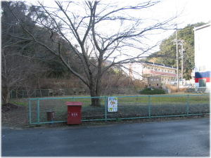 西田面公園木の写真