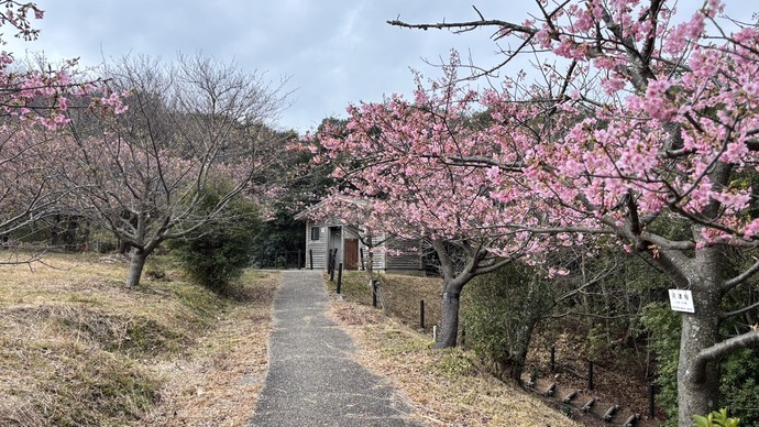 聖崎公園　中腹