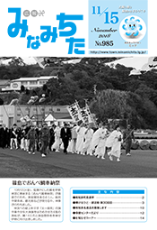 写真：広報みなみちた　平成30年11月15日号