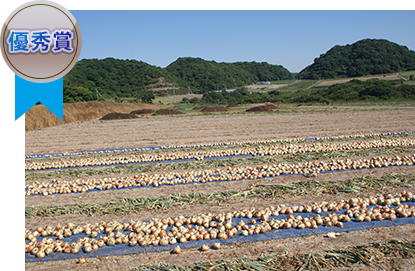 写真：一般部門優秀賞／テーマ：○よいところ／題名：広大なたまねぎ畑