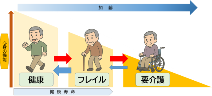 フレイルイメージ図