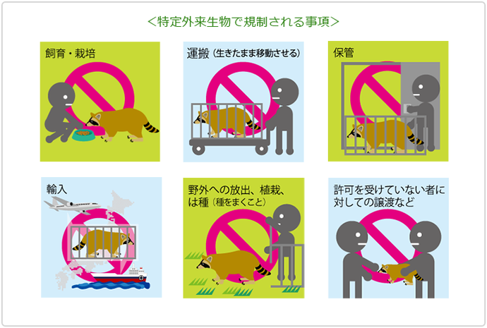 特定外来生物規制事項